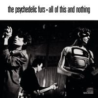 The Psychedelic Furs - All Of This And Nothing