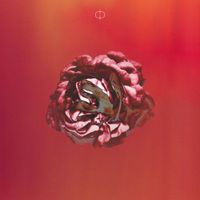 Dardust - #004 Fluidity