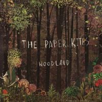 The Paper Kites - Woodland