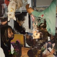 Mr Floyd Larry - Dream Punk