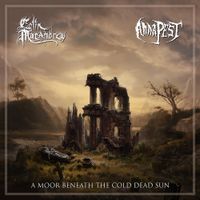 Anna Pest - A Moor Beneath the Cold Dead Sun