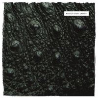 Regula - Casca Grossa