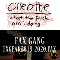 Fax Gang - what the fuck am i doing / FXGPAK2019-2020.FAX