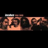 Incubus - New Skin