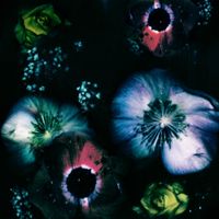 Vaal - Love Reversed