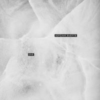 Adriaan Swerts - One