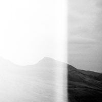 Jason Van Wyk - Descendants