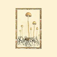 Mycorrhizae - Mycorrhizae