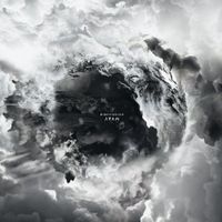 Disillusion - Driftwood