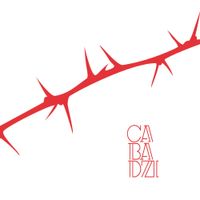 Cabadzi - Des angles et des &eacute;pines