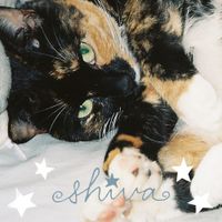 Rachel Reale - Shiva
