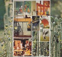 Mark McGuire - Vacation Days