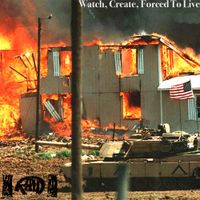 Raid - Watch, Create, Forced to Live