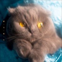 猫戦 [Nekosen] - 蜜・月・紀・行 [Mitsu Getsu Ki Ko]