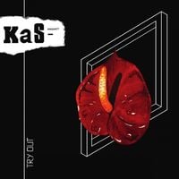 KaS Product - Try Out