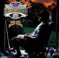 Bubba Sparxxx - Dark Days, Bright Nights