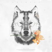 Skioffi - Alice