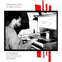 Mamman Sani - La musique &eacute;lectronique du Niger
