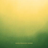 Behzad Mehrnoosh - Skimmer