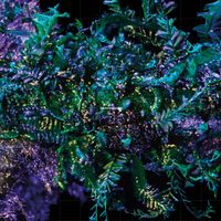 Ben Frost - Broken Spectre