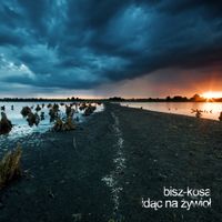 Bisz & Kosa - Idąc na żywioł