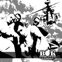 B.O.K - Raport z Walki o Wartość