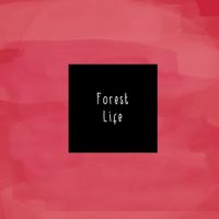 McCafferty - Forest Life
