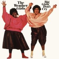 The Weather Girls - Big Girls Don&rsquo;t Cry