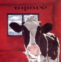 Aviv Geffen - שומקום
