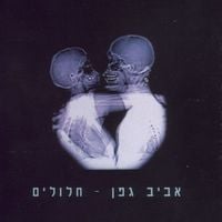 Aviv Geffen - חלולים