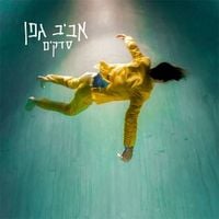 Aviv Geffen - סדקים