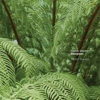 Patrick Shiroishi - Evergreen