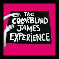 The Colorblind James Experience - The Colorblind James Experience