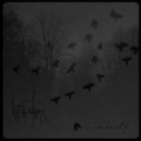 Left Alone&hellip; - .​.​. as the birds still fly​.​.​.
