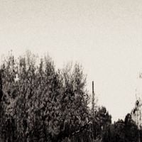 Comforting - ENDGARDEN