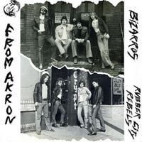 Rubber City Rebels/The Bizarros - From Akron