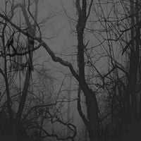Sadness - Wounded Solitude...