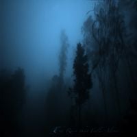 Sadness - The Rain that falls alone...
