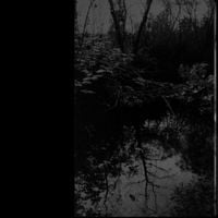 Sadness - To despair of...