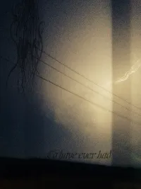 Sadness - To have ever had