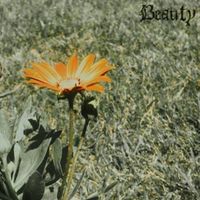Beauty - about love... and you