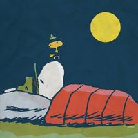 dkj - Dream Merchant