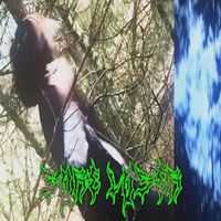 Nosgov - Sore Loser