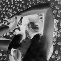 Bj&ouml;rk - Vespertine (Drone Version)