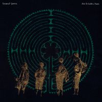 Cocoanut Groove - How to Build a Maze