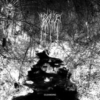 Bosque - Cleansing