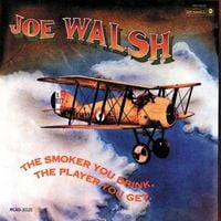 Joe Walsh - The Smoker You Drink, the Player You Get