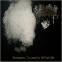 Phyllomedusa - Schnewn Incrustic Ghinslab