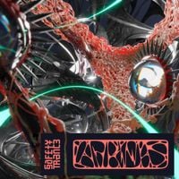 Safety Trance - L&aacute;grimas