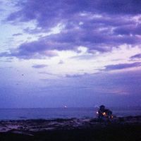 Orchid Mantis - Flashbulb Memory
